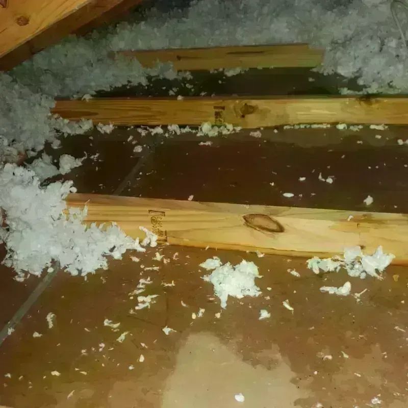 Attic Water Damage in Harvey, LA