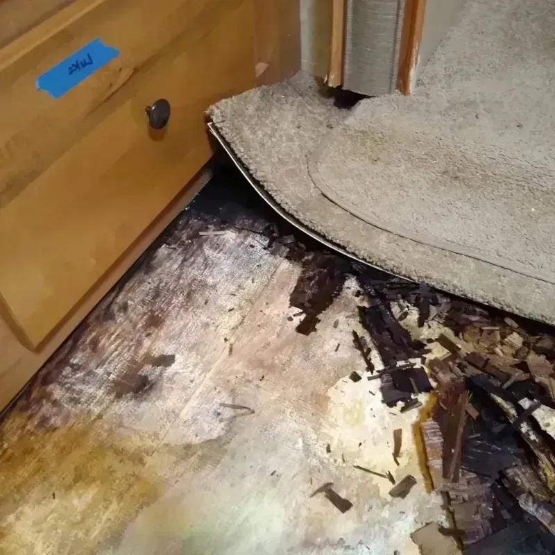 Wood Floor Water Damage in Harvey, LA